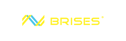 Brishes